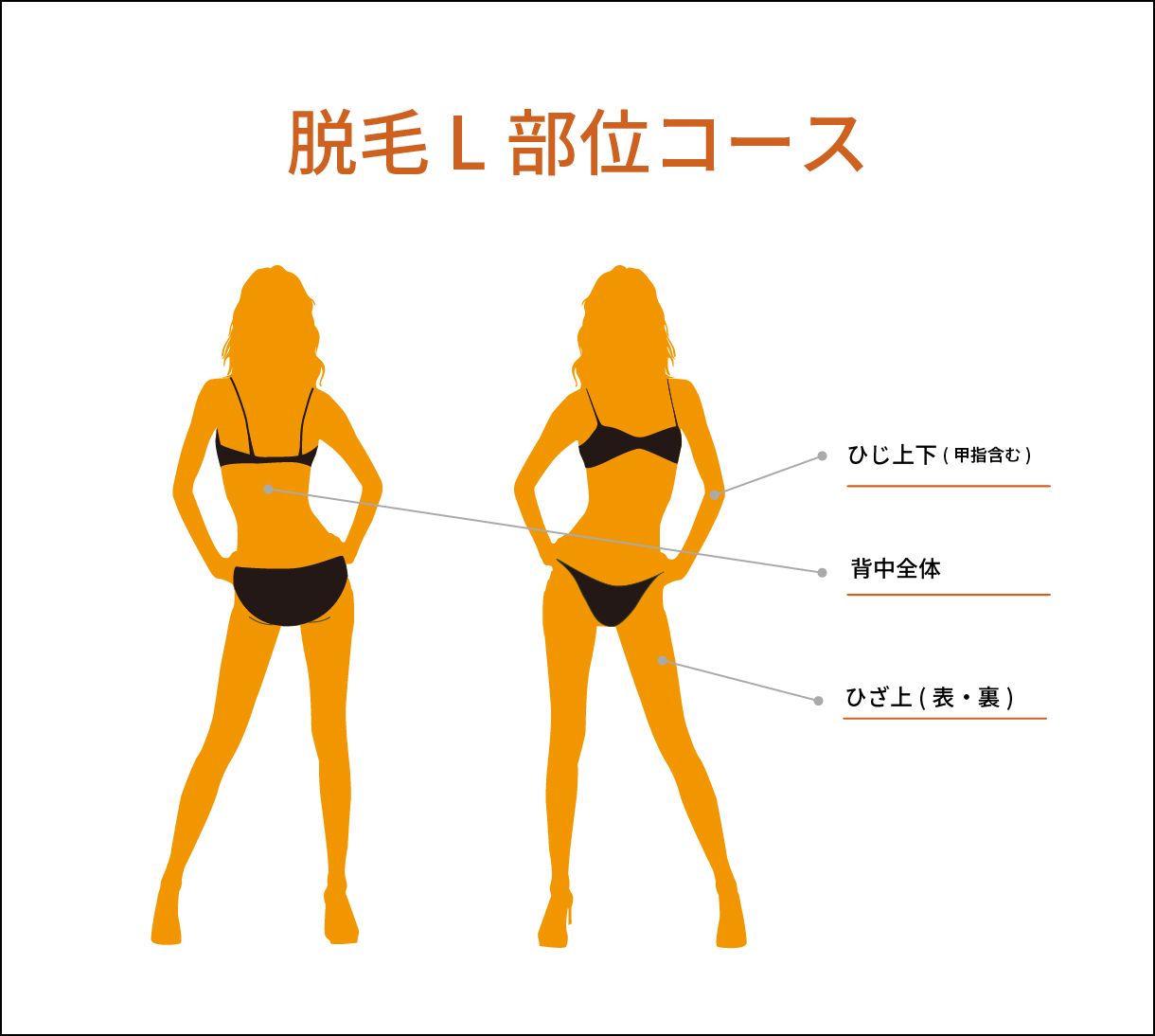 rinc 脱毛 L部位コース