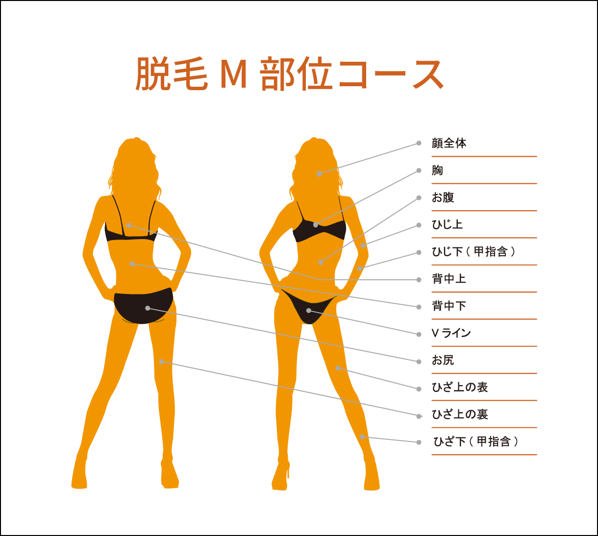 rinc 脱毛 M部位コース