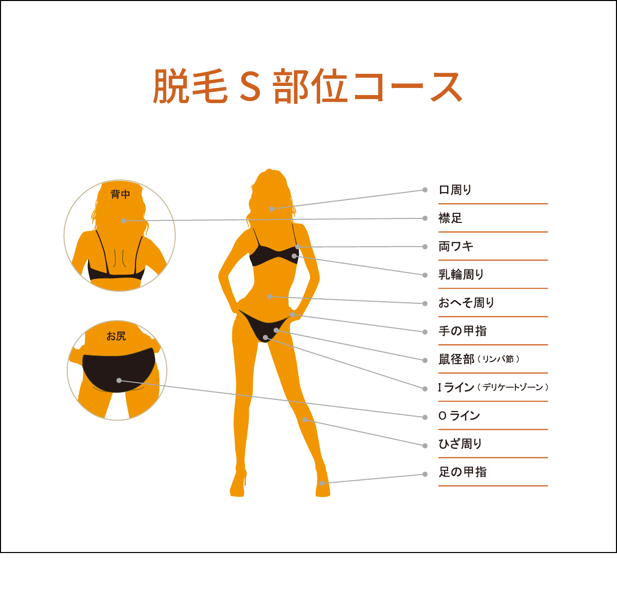 rinc 脱毛 S部位コース
