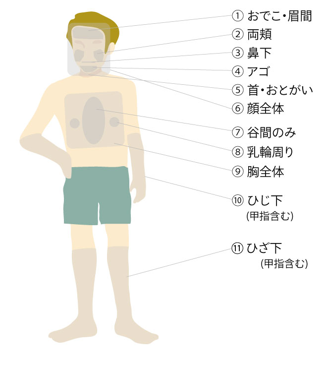 エステ rinc。 メンズ(Men's)脱毛部位一覧